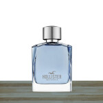 Hollister Wave Him Eau De Toilette 100ml Spray
