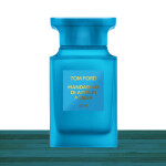 Tom Ford Mandarino Di Amalfi Acqua Eau De Toilette 100ml Spray